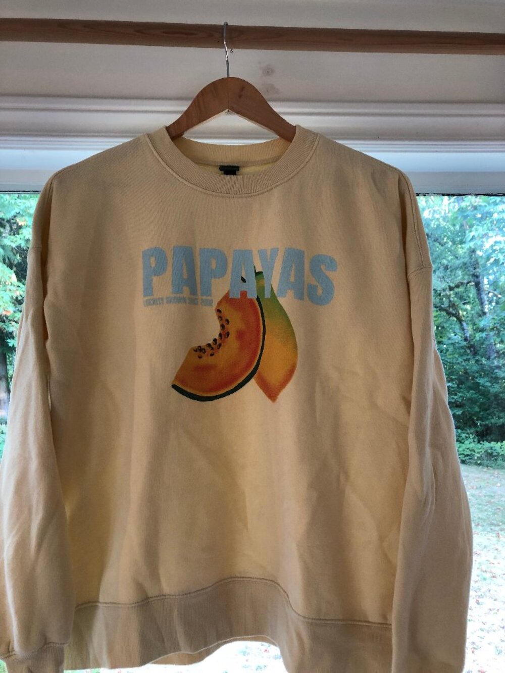 Wild Fable Papaya Graphic Oversized Sweatshirt Dusty Yellow – XS/S/M